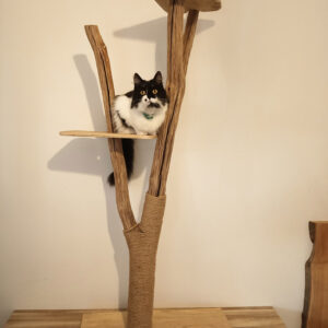 Arbre à chat II