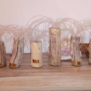 Les Pièces Lumière
