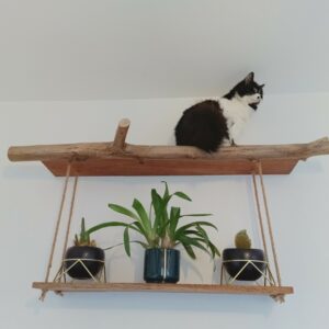 Étagère pour ranger les chats =^.^=